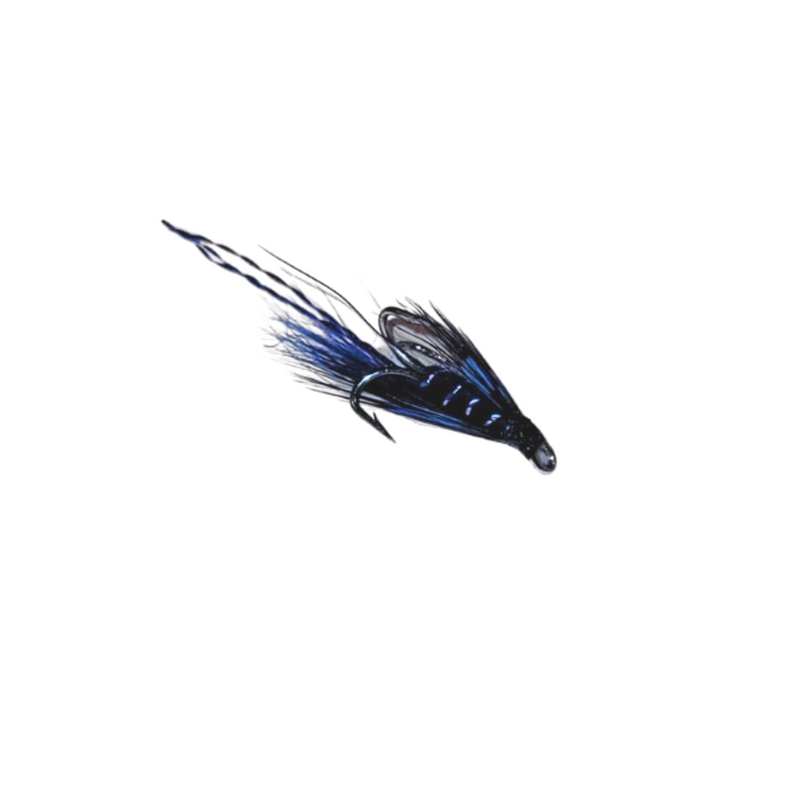 Blue Boy