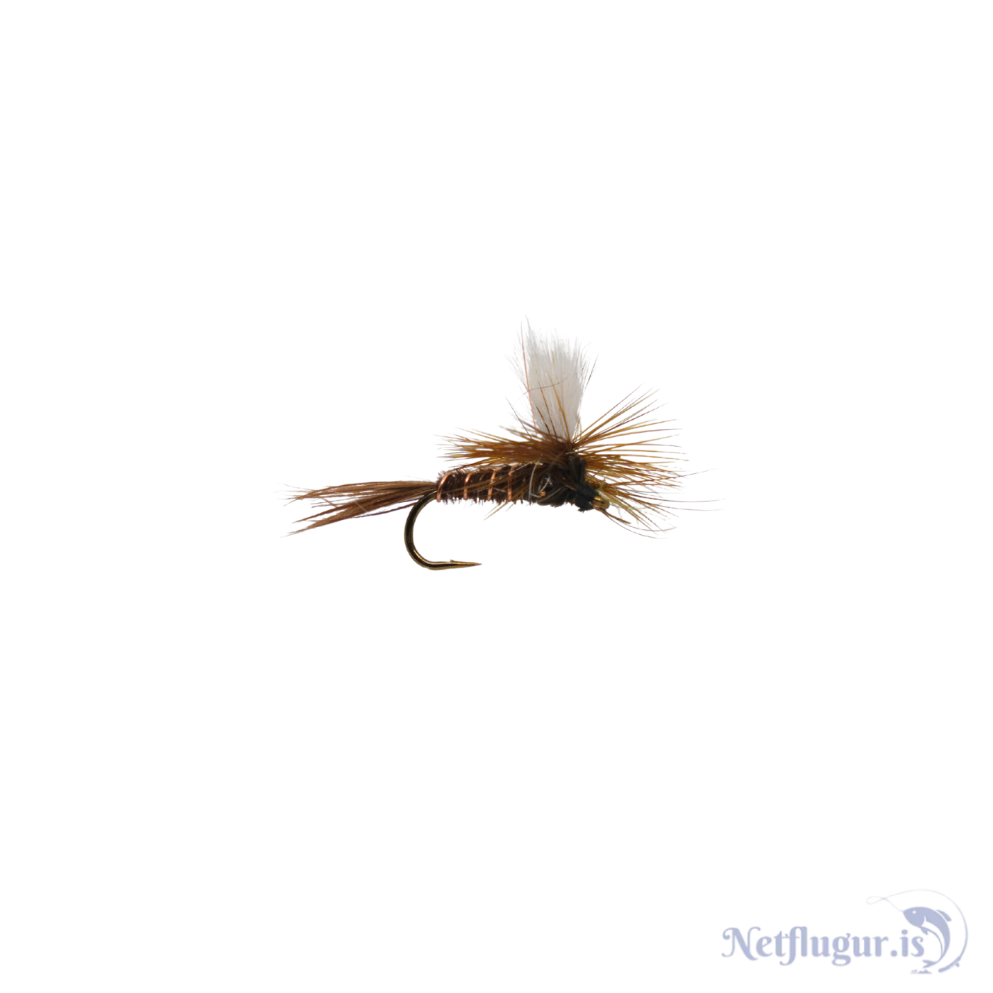 Þurrflugur
